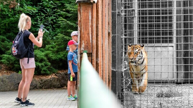 zoo