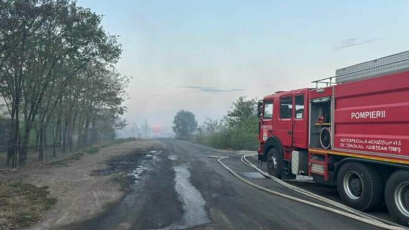 incendiu timisoara