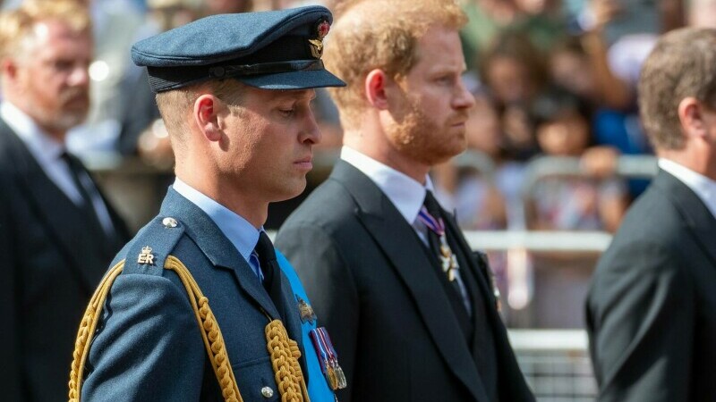 Prinții William și Harry