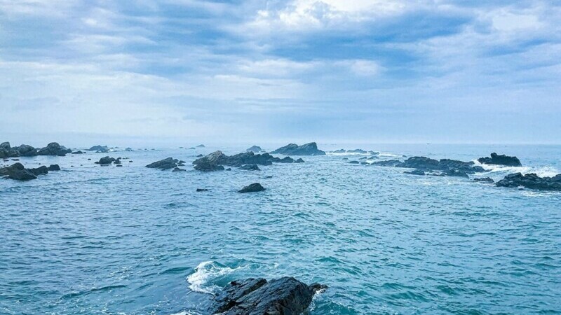 mare