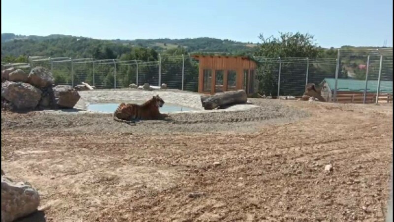 Zoo