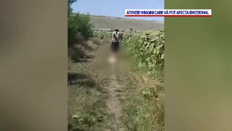 batrana, chinuie caine, botosani