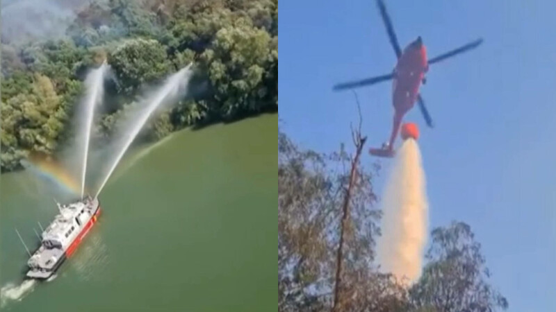 incendiu vegetatie delta dunarii
