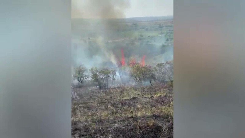 incendiu livada