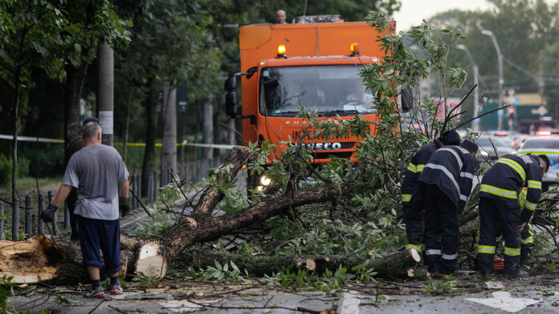 furtuna bucuresti