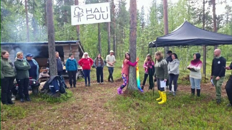 concurs imbratisat copaci