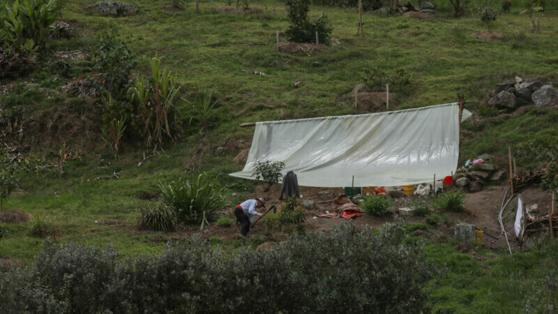 Cundiboyacense Columbia