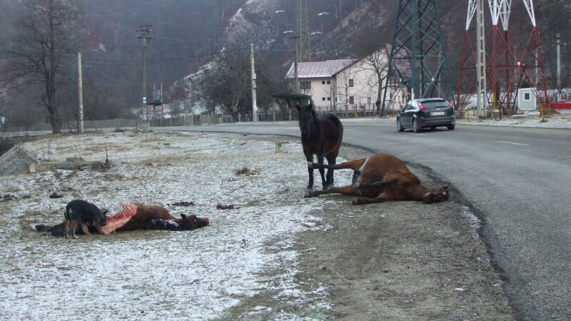 Imagini care te lasa fara cuvinte