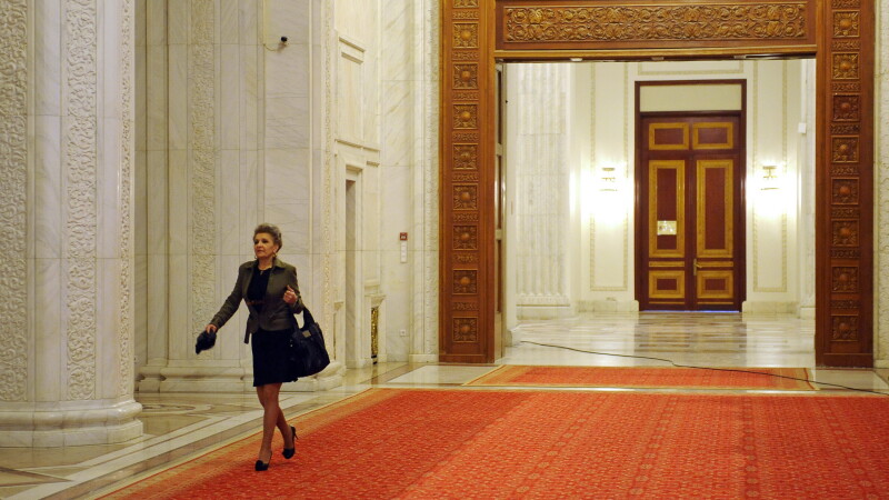 Aura Vasile