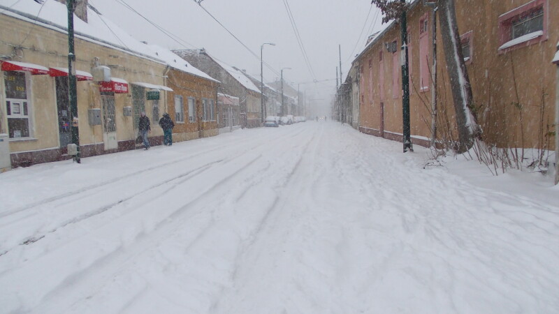 prima ninsoare, Timisoara