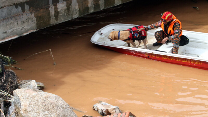 Inundatii in Malaysia