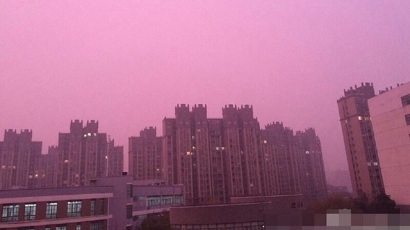 Smog roz