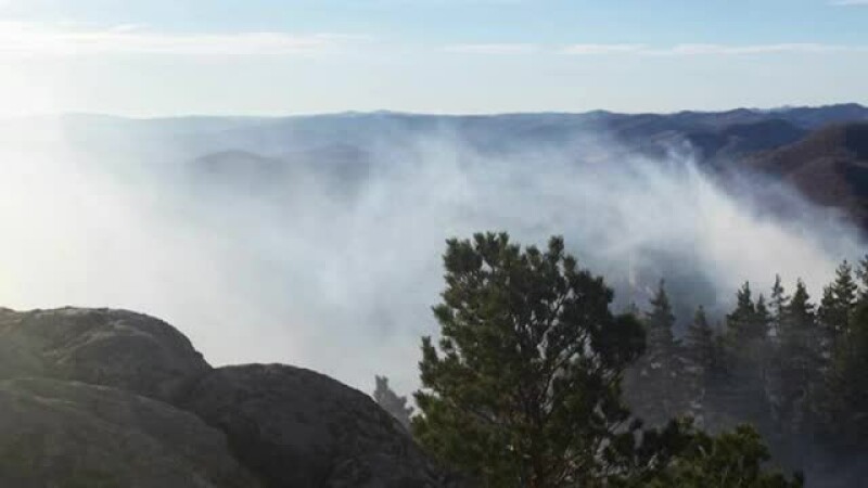 incendiu, Muntii Buzaului