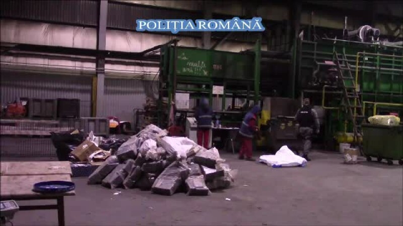 4 tone de droguri, distruse de Poliţia Română
