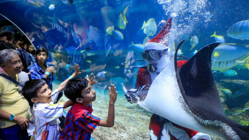 Scafandru costumat în Moș Crăciun în Parcul Oceanic din Manila