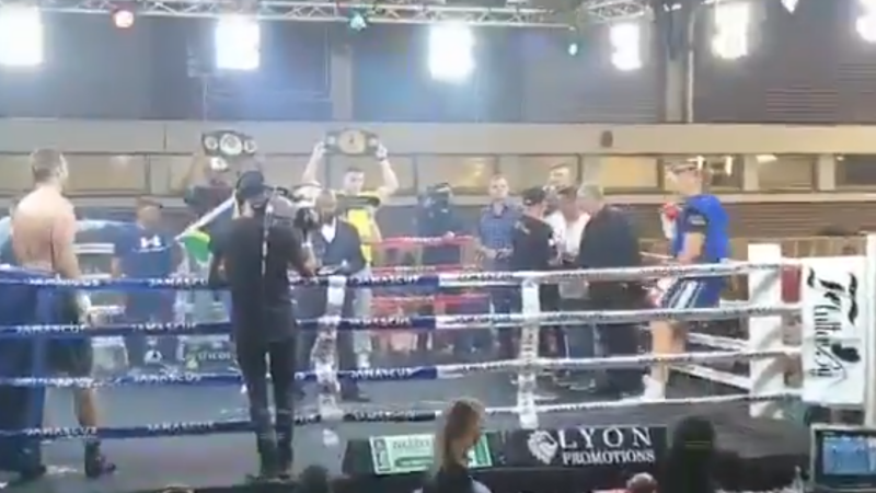 boxer