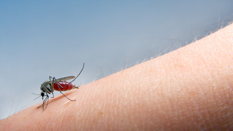 West Nile