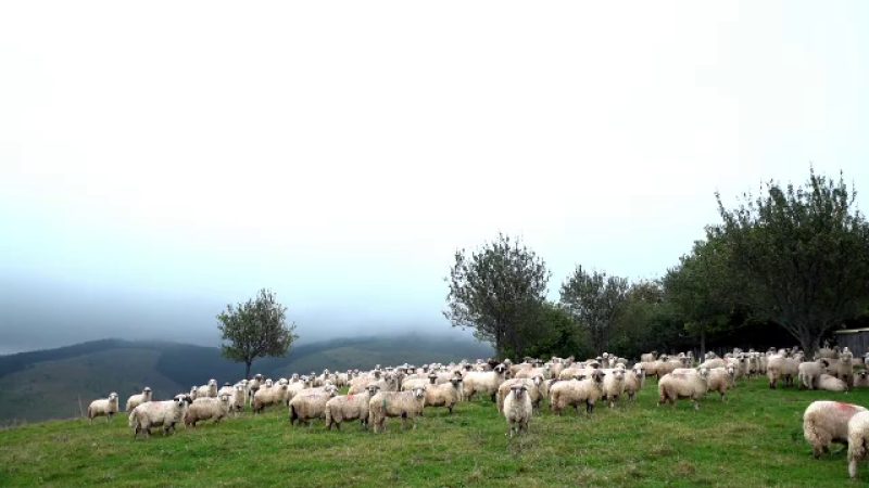 Peisaje de poveste, la Mărginimea Sibiului. ”Este atmosfera asta a satului, liniștea, timpul care curge mai încet”