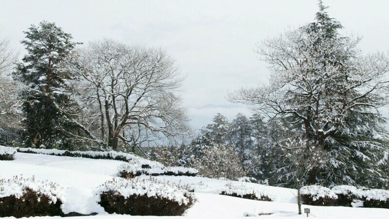 furtună de zăpadă în Japonia