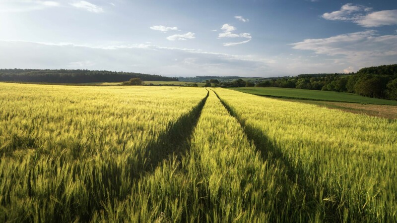 Cum arată agricultura viitorului, în care pământul va fi arat tot mai puțin. “Nu mai bagi tractorul de patru ori”