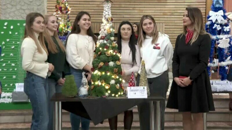 brad decorat cu conopida