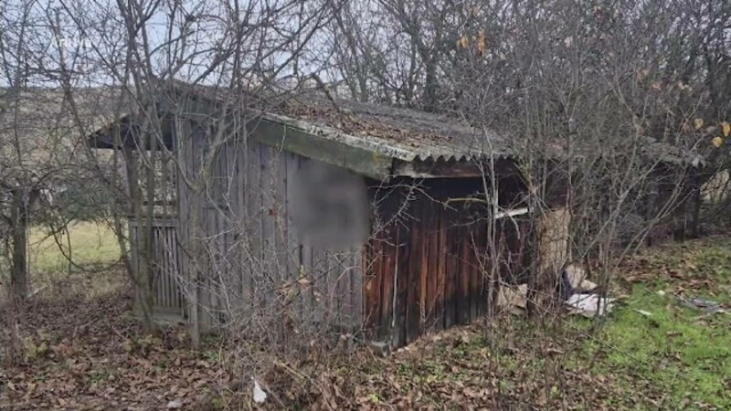 casa parasita minori cj