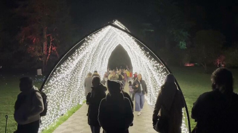 grădina botanică San Francisco