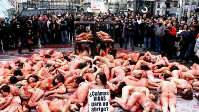 protest Spania