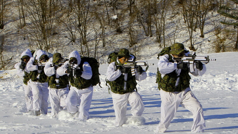 Soldati coreeni