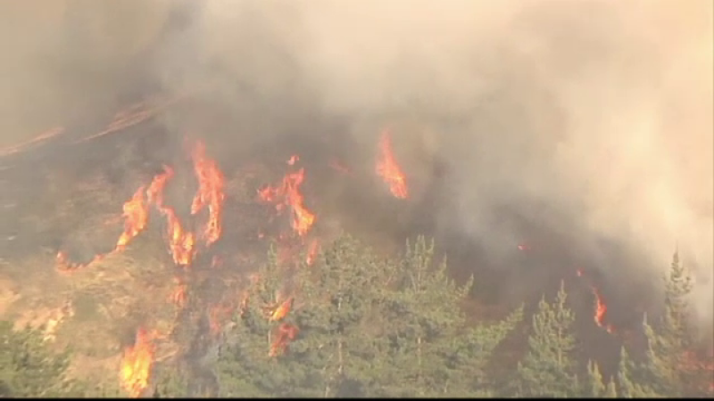 chile incendiu vegetatie