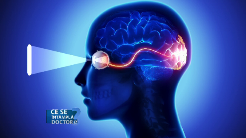 Vederea și creierul - eventisimo.ro