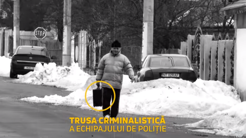 valiza, roman, politist,