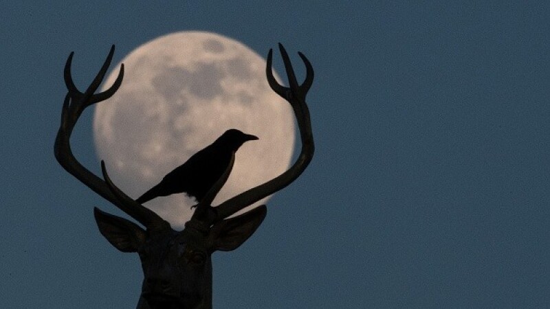 Super Luna de Zăpadă a avut loc în noaptea de 18 spre 19 februarie 2019