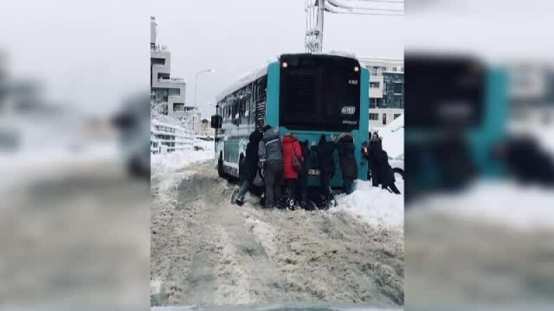 autobuz inzapezit