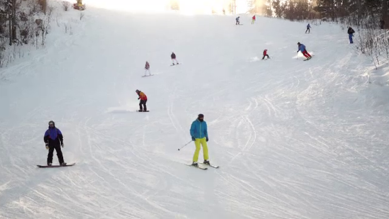 Partii de schi