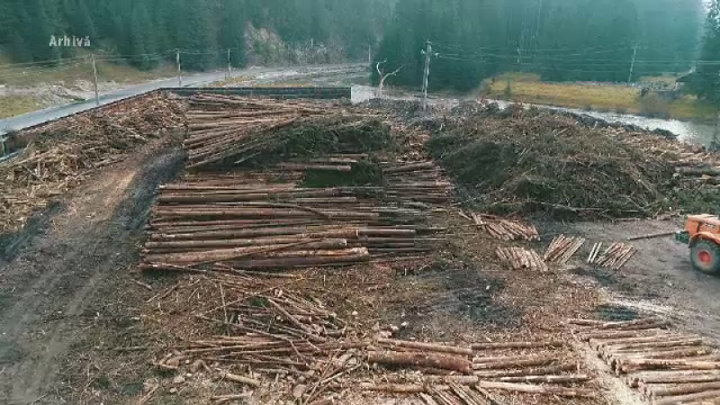 lemne