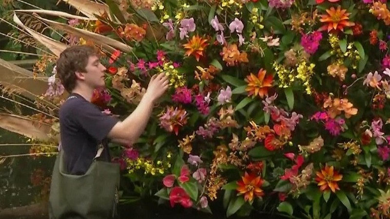 Grădina Botanică din Londra, gazda celui mai mare festival al orhideelor. Vizitatorii vor admira mii de flori