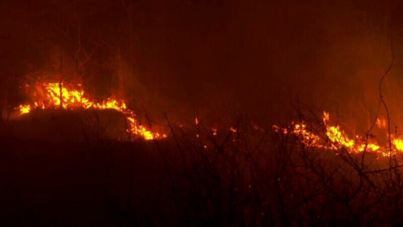 Alertă în Buzău, unde au izbucnit patru incendii simultan