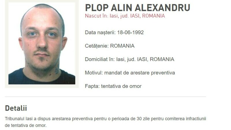 alexandru pop