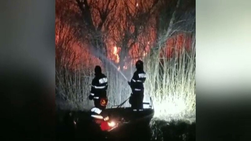 incendiu Delta Dunării