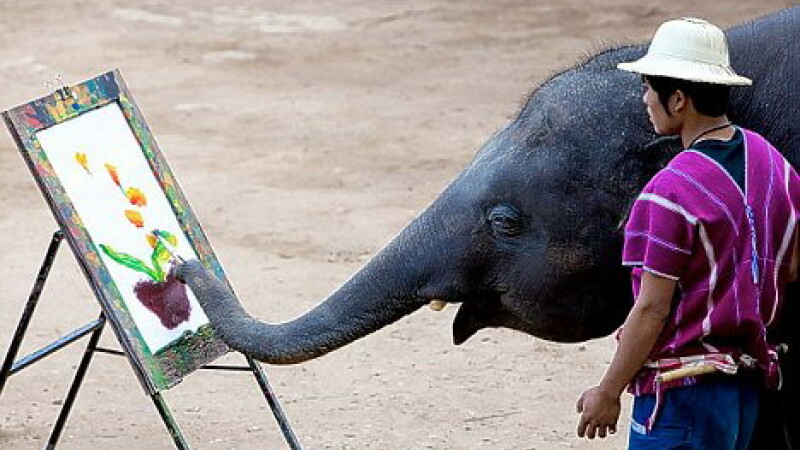 elefantul pictor