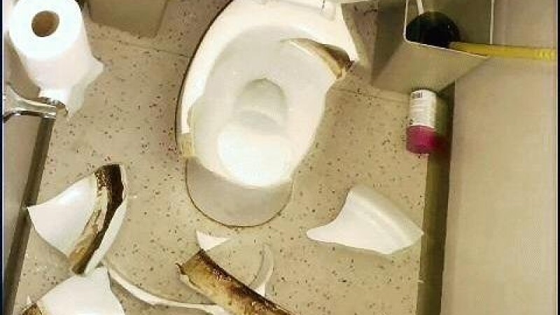 vas de toaleta spart