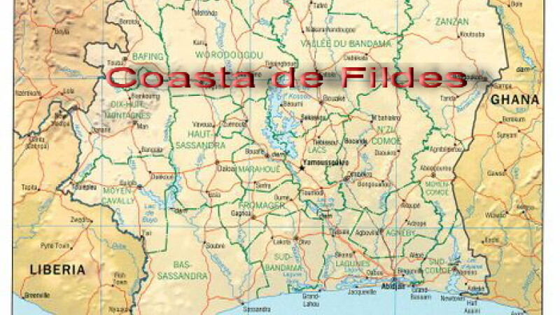 Coasta de Fildes