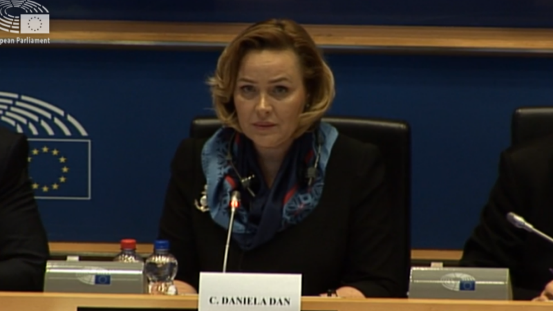 Carmen Dan, Parlamentul European