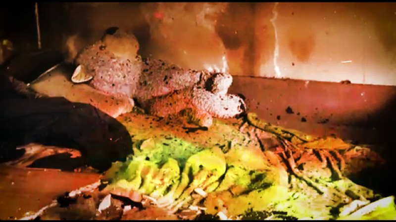 Patru copii au ars de vii încuiaţi în casă, în Timișoara