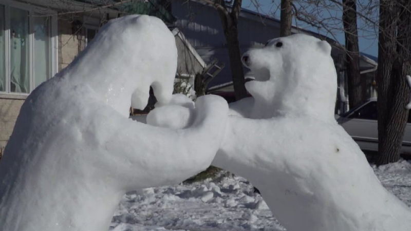 O familie din Canada și-a animat curtea casei cu o duzină de urși polari din zăpadă. VIDEO