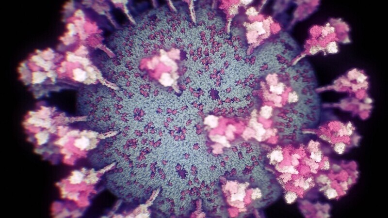prima fotografie 3D a coronavirusului
