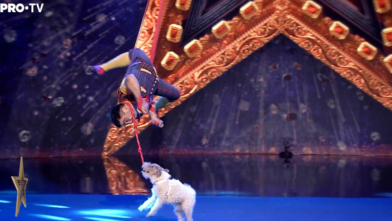 caine romanii au talent