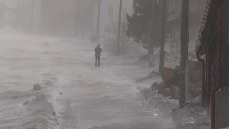 ger munte zabada ninsoare