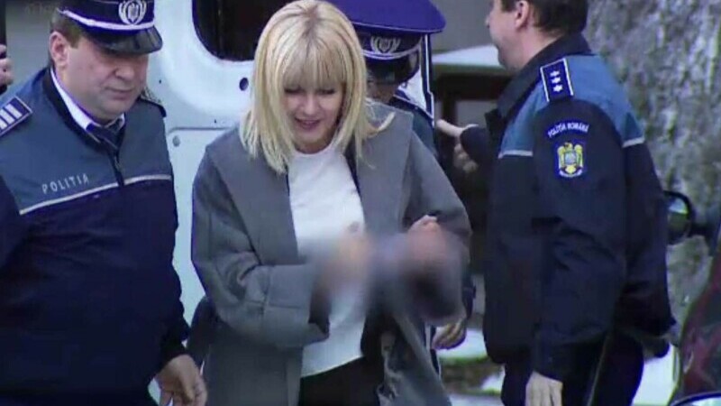 Terenul Elenei Udrea, la a treia încercare eșuată de licitație ANAF. Prețul scade exponențial